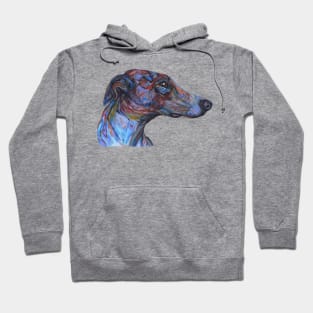 rainbow greyhound profile Hoodie